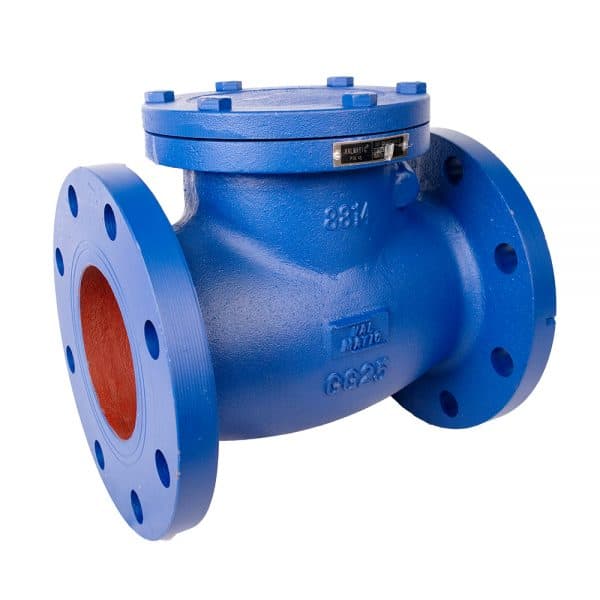 Cast Iron Check Valve